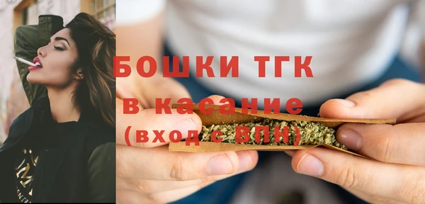 дмт Алексин