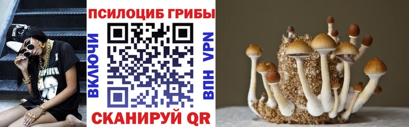 дарнет шоп  Нелидово  Псилоцибиновые грибы ЛСД 