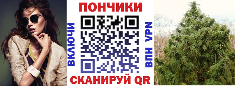 Бошки Шишки THC 21% Нелидово